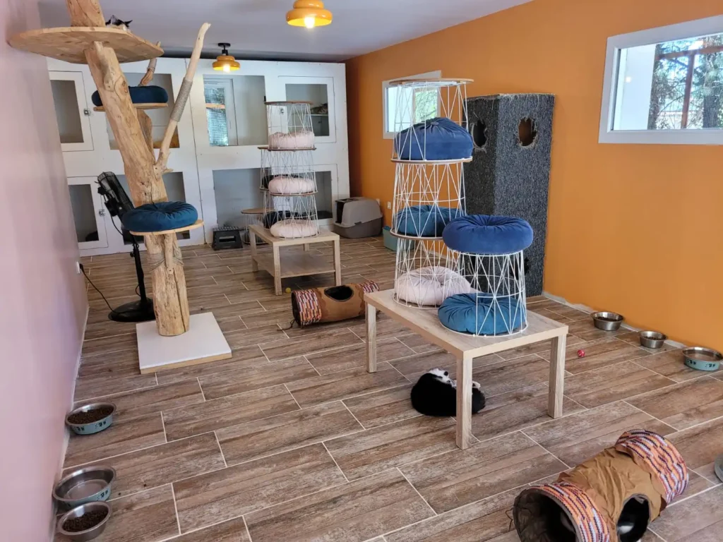 Pension pour chats